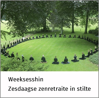 op een grasveld tussen hoge beukenbomen zitten mensen te mediteren, ze dragen zwarte kleding en zitten op zwarte kussens in een grote cirkel